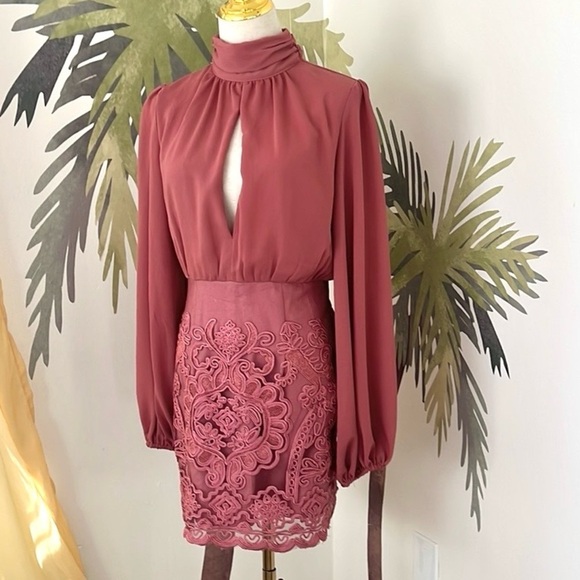 Skylar Rose,ASOS.Rich Mauve, Incredibly Slimming, Embroidered Lace Dress,Size S - Picture 7 of 12